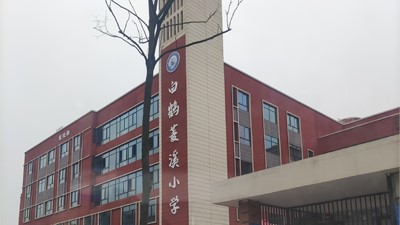 株洲白鶴菱溪小學現場調研工作