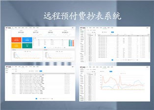 遠程預付費抄表系統的原理是什么呢？—老王說表