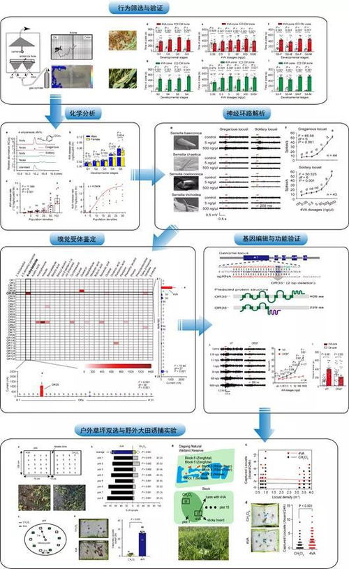 從信息系統集成視角看蝗災成因 科學揭示與防治啟示